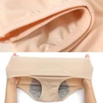 Amazon Clearance Sale🔥🔥-2024 new upgrade high waist leak proof panties